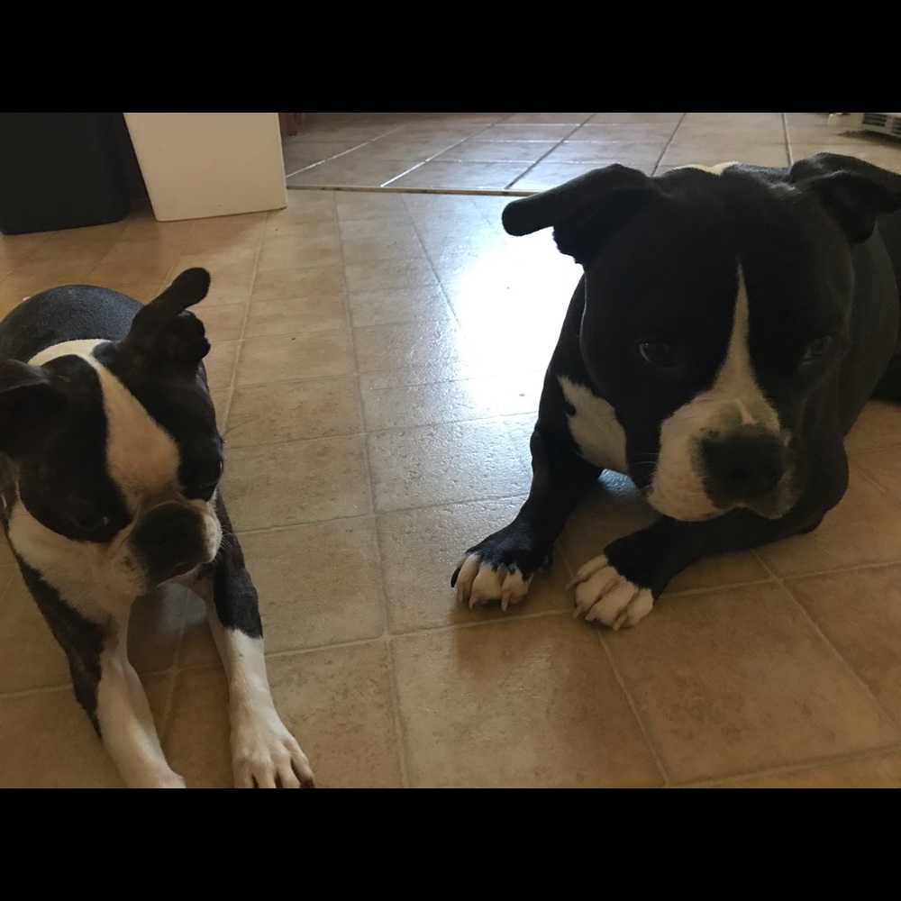 Meet your Posher, Deborah